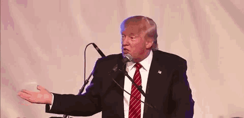 donald trump is standing in front of a microphone and talking into it .