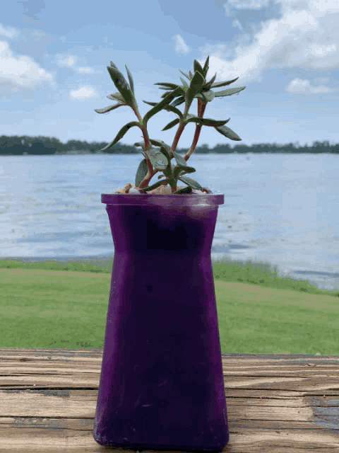 a purple vase with a plant in it sits on a wooden table with a lake in the background