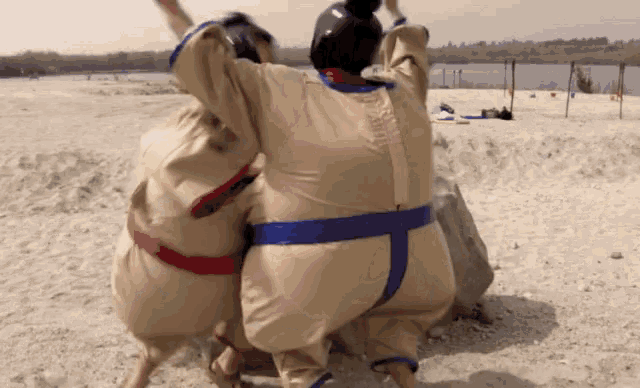 Sumo Wrestling The Office GIF - Sumo Wrestling The Office Dwight GIFs