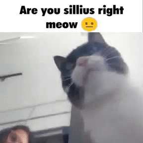 Silly Charlie Silly Cat GIF