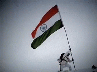 Salute To The Spirit GIF - देशभक्ति India Tricolor GIFs