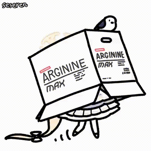 a cartoon turtle is carrying a box of arginine max .