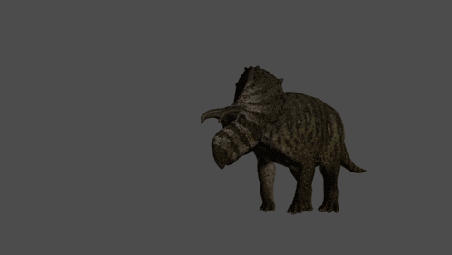 a 3d model of a triceratops walking on a gray background