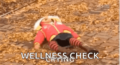 a child is laying on the ground with the words `` wellness check crying '' written on the ground .