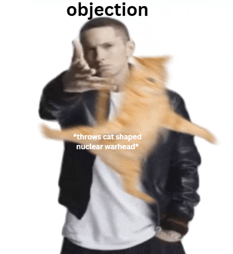 a picture of a man holding a cat with the caption objection