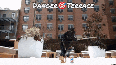 a cartoon of a monkey with a barber pole in front of a building that says danger terrace