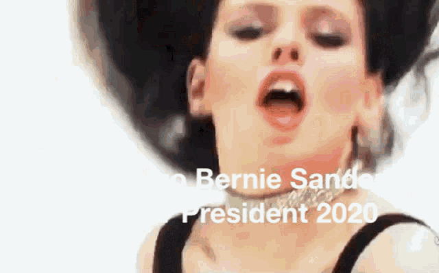 Bernie Sanders 2020 GIF - Bernie Sanders 2020 Going Crazy GIFs