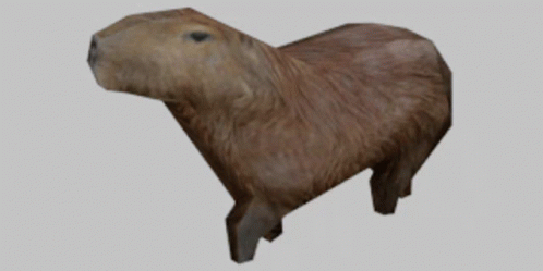 Capybara Walk GIF - Capybara Walk A Nimal GIFs