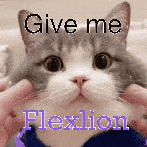 a picture of a cat with the words give me flexlion written on it
