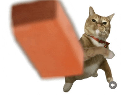 a cat with a red collar is kicking a brick in the air