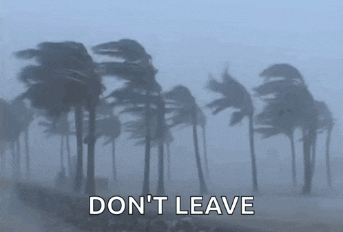 a row of palm trees blowing in the wind with the words `` do n't leave '' written below them