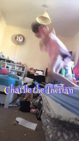 charlie the therian is jumping in the air in a messy bedroom