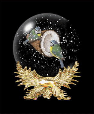 a snow globe with two birds sitting on top of a coconut