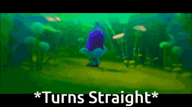 a troll is standing in the water with the words " turns straight " written below him