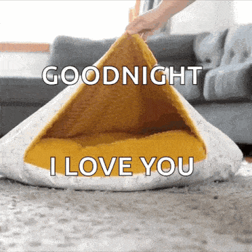 a cat bed with the words goodnight i love you written on it