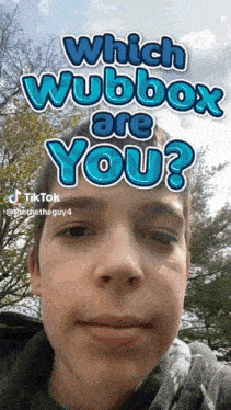 a boy is asking which wubbox are you on a tiktok video