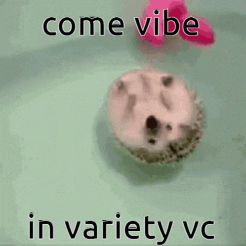 Variety Vc Variety GIF - Variety Vc Variety Vc GIFs