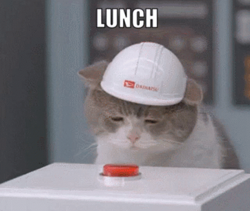 Lunch Boi Lunch GIF - Lunch Boi Lunch Cat GIFs