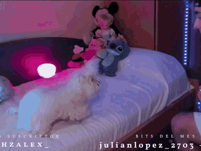 a dog is laying on a bed with stuffed animals and the name julianlopez_2703