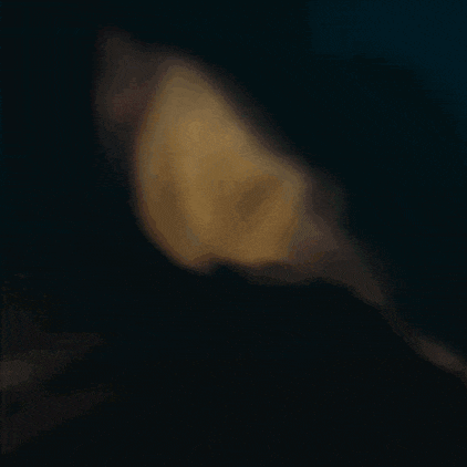 a blurry picture of a woman 's chest with a cross on it