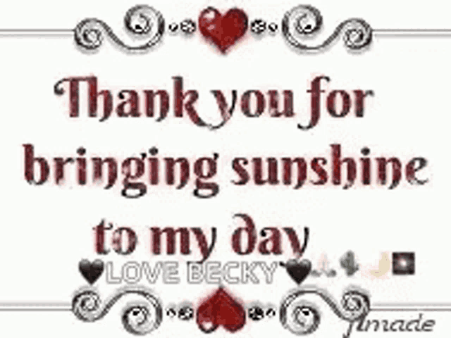 a thank you for bringing sunshine to my day .