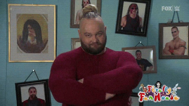 World Wrestling Entertainment Wwe GIF