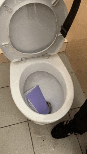 Toilet Meme GIF - Toilet Meme Geometry GIFs