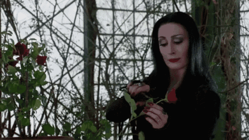 a woman in a black dress is holding a red rose in her hands .