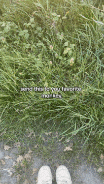 a person standing in the grass with the words send this to your favorite monkey on the bottom