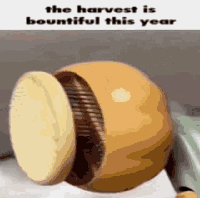 Cat Harvest GIF - Cat Harvest The Harvest Is Bountiful GIFs