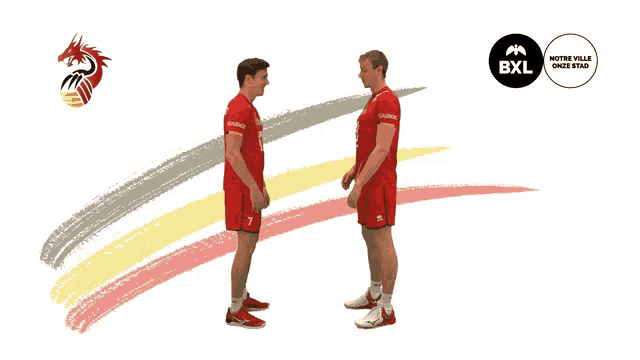 Belgie Belgium GIF