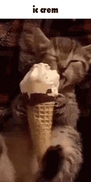 a cat is eating an ice cream cone with the words ice crem below it .