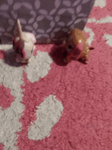 two littlest pet shop dolls are sitting on a pink and white rug .