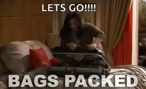 Bags Packed Luggage GIF - Bags Packed Luggage Fail GIFs