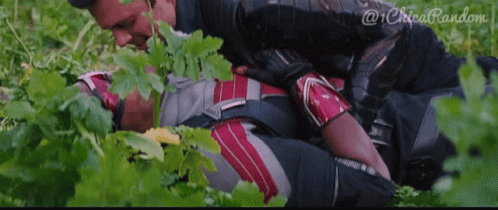 The Falcon And The Winter Soldier Gay GIF - The Falcon And The Winter Soldier The Falcon Winter Soldier GIFs