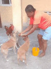 a woman in a red shirt is feeding a dog