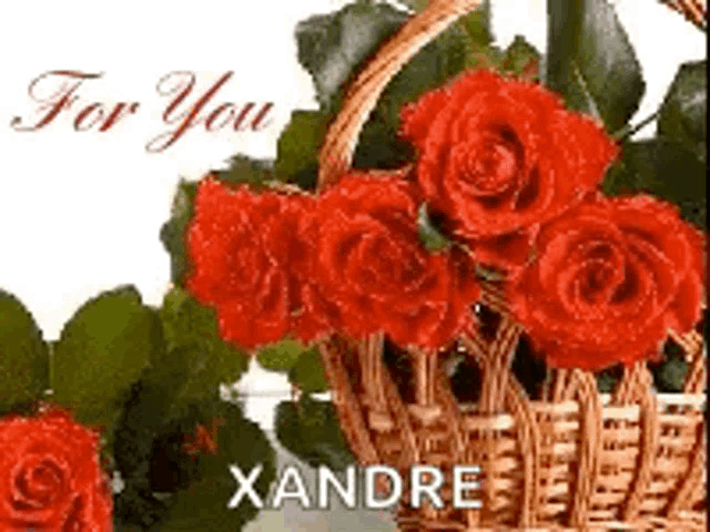 a bouquet of red roses in a basket with the name xandre on it .