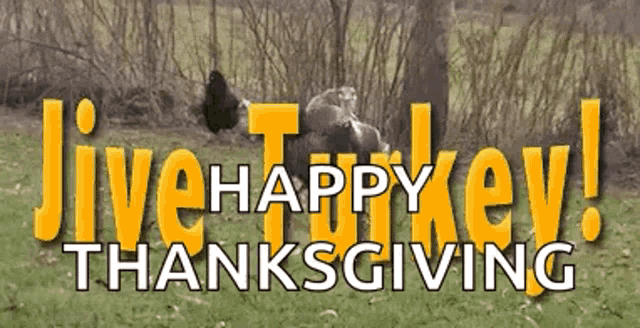 a sign that says live happy turkey thanksgiving with a picture of a turkey