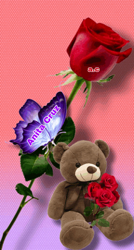 a teddy bear is sitting next to a red rose and a butterfly with the name anita cruz written on it