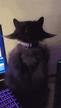 a black cat is sitting in front of a laptop keyboard
