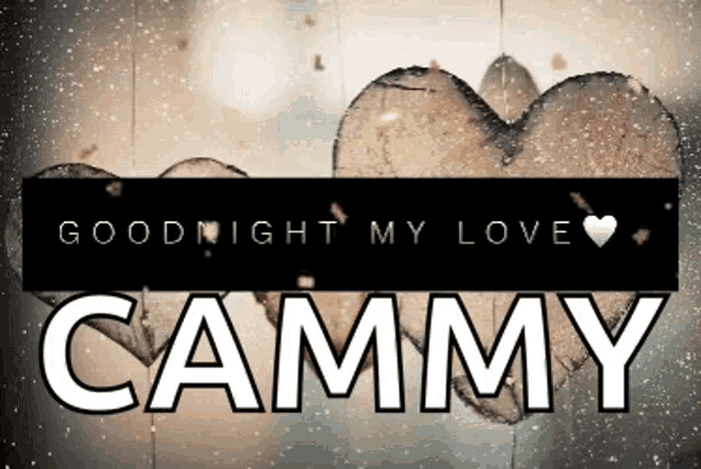 a sign that says goodnight my love cammy on it