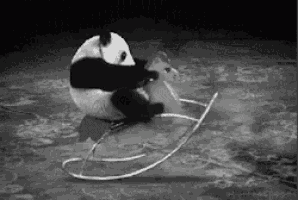 Panda Cute Panda GIF