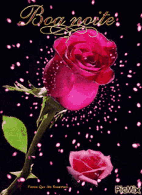 a picture of a pink rose with the words boa noite on the bottom