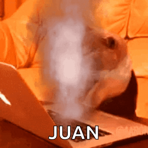 a cat is typing on a laptop with the word juan coming out of the screen