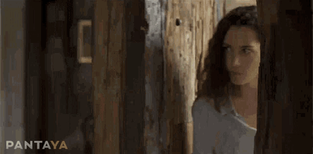 a woman is looking out of a wooden door and the word pantaya is on the bottom