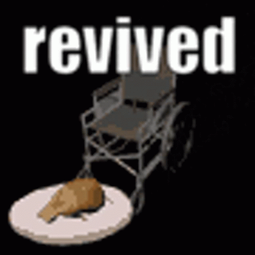 Revived Cat GIF - Revived Cat Cat Wheelchair GIFs