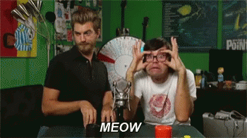 Cat Rhett GIF - Cat Rhett Link GIFs
