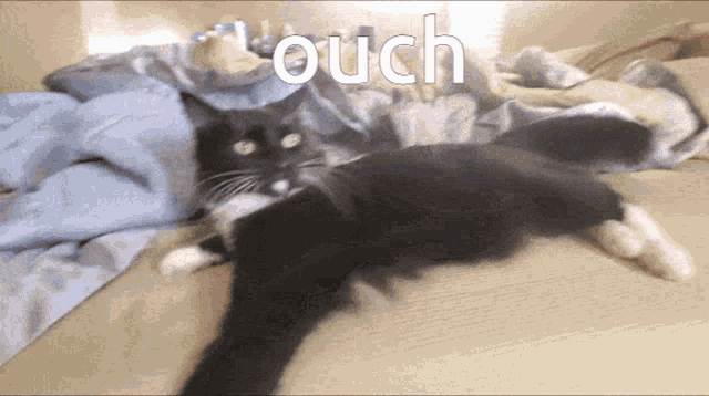 a black and white cat is laying on a bed with the word ouch written above it