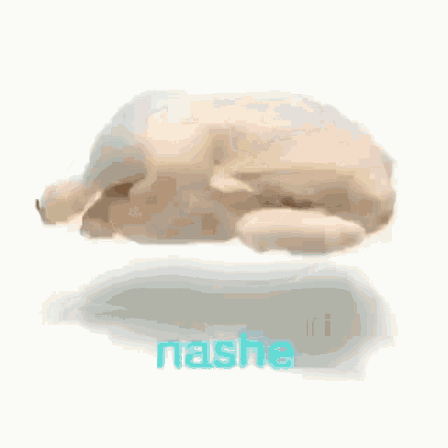 Nashe Aesthetic GIF - Nashe Aesthetic GIFs