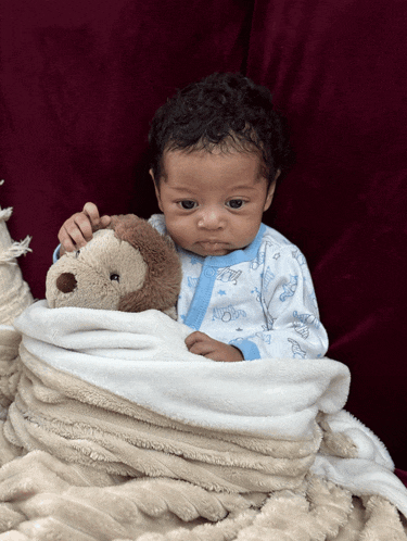 a baby wrapped in a white blanket holds a stuffed animal